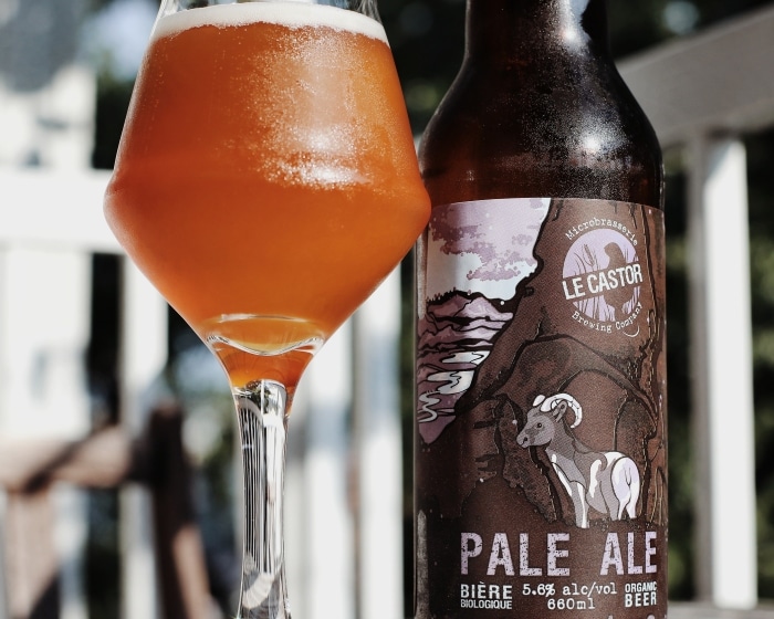 Pale Ale (Le Castor)