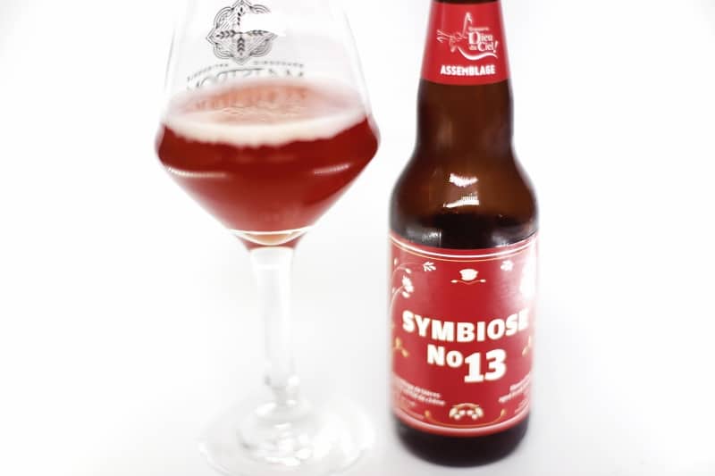 Symbiose No 13