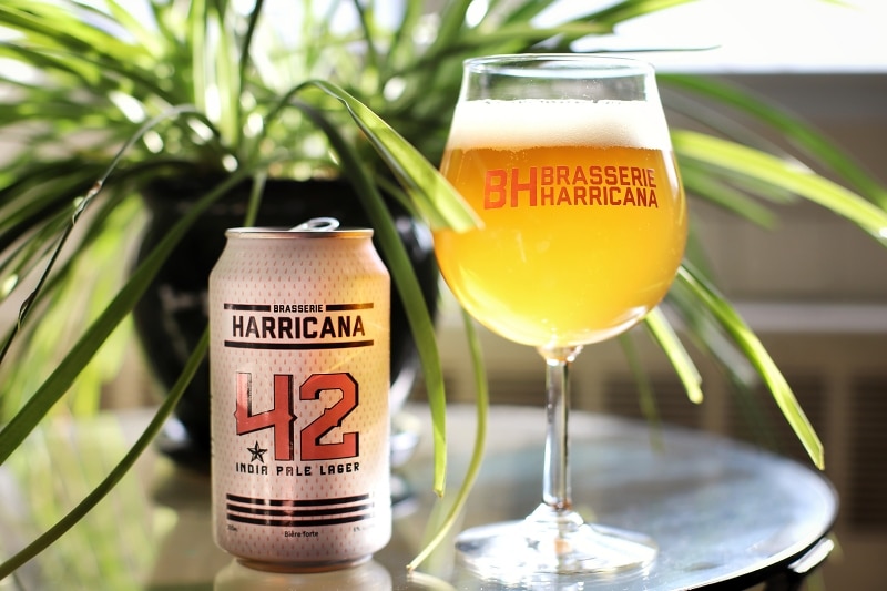 42 - India Pale Lager