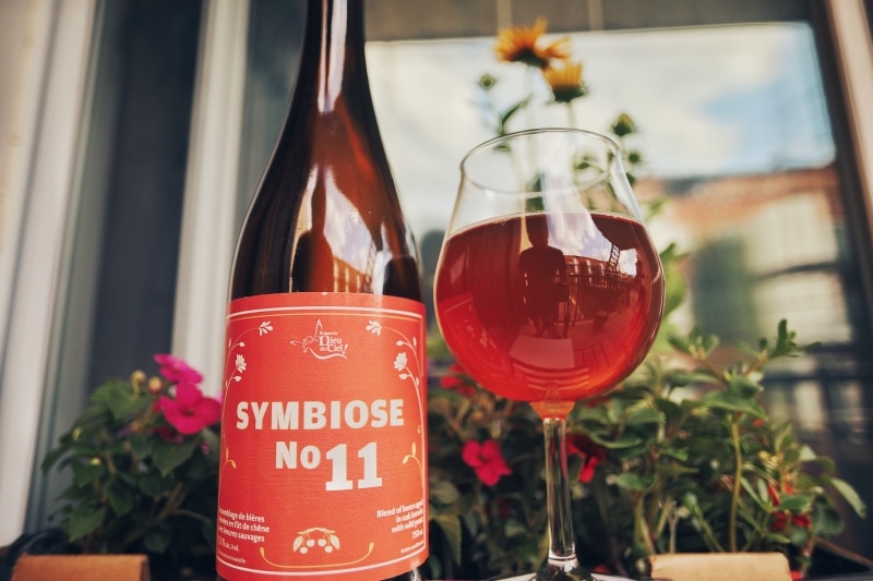 Symbiose No 11